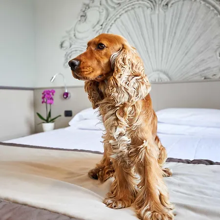 מלון Corallo אימפריה