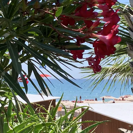 Corallo 3* Империя