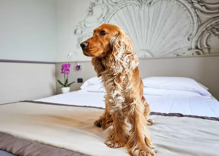 Hotel Corallo Imperia