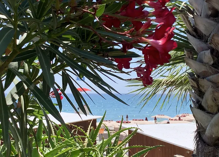 Corallo 3* Imperia